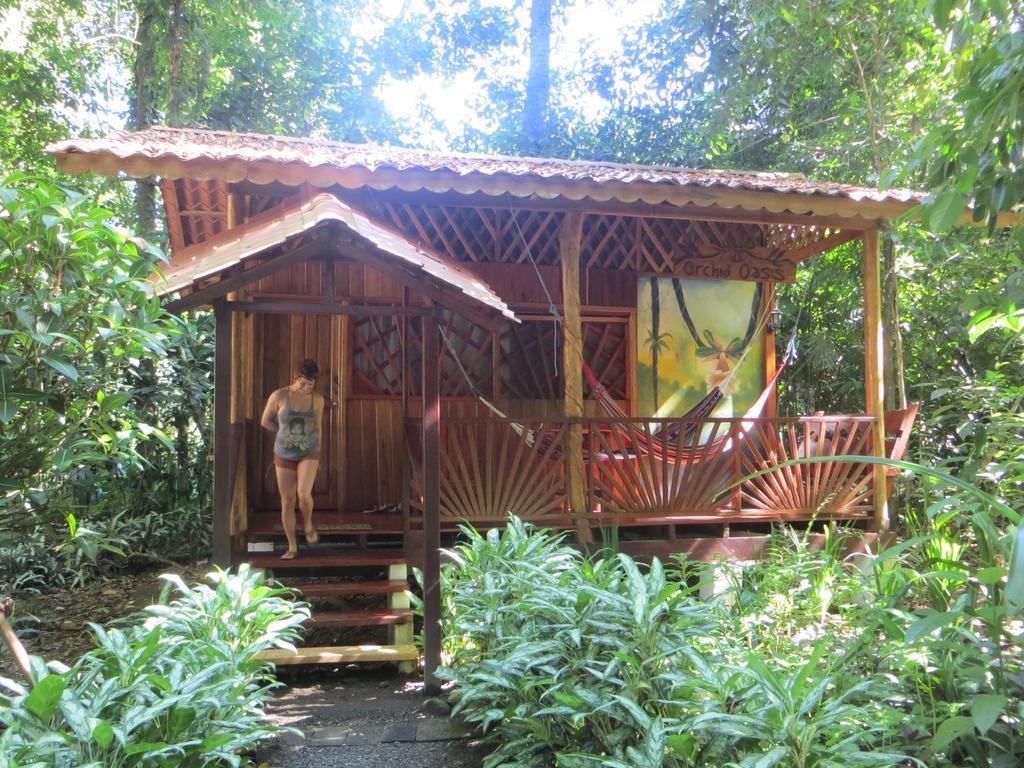 Tierra De Sueños Lodge&wellness Center * Puerto Viejo de Talamanca