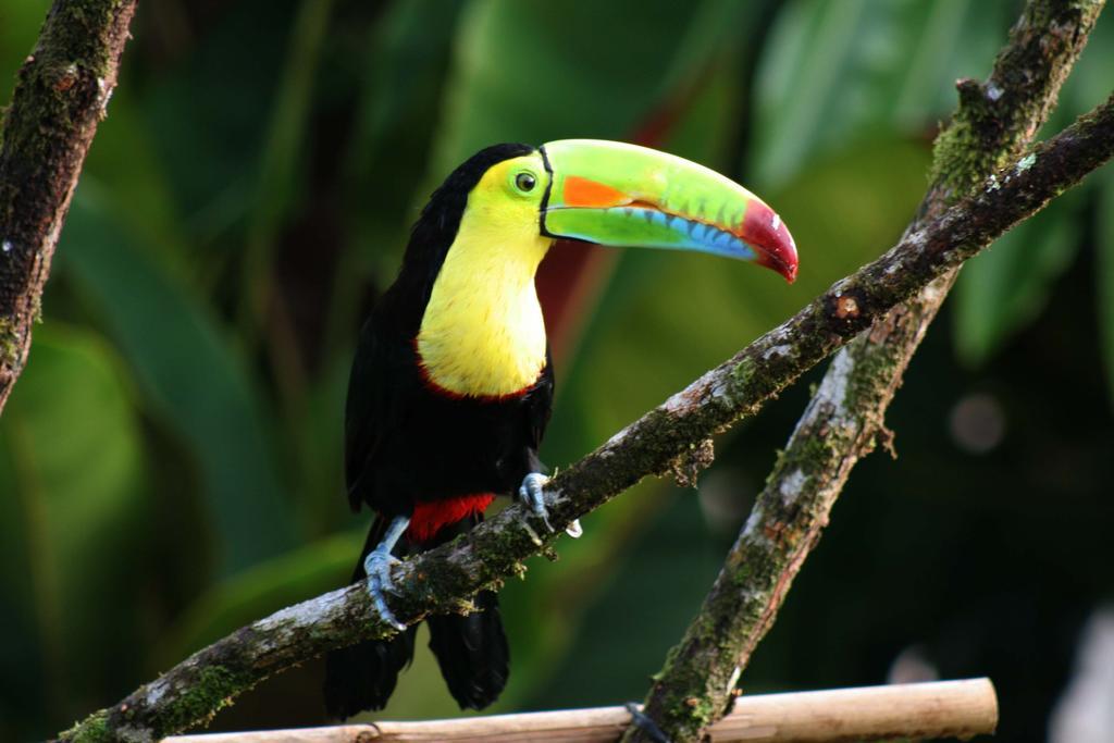Tierra De Sueños Lodge&wellness Center Lodge *