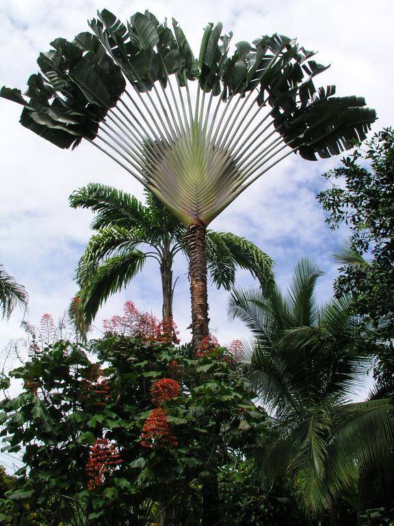 Tierra De Sueños Lodge&wellness Center * Puerto Viejo de Talamanca