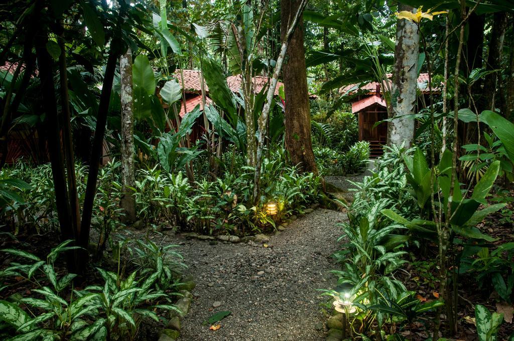 Tierra De Sueños Lodge&wellness Center Lodge Puerto Viejo de Talamanca