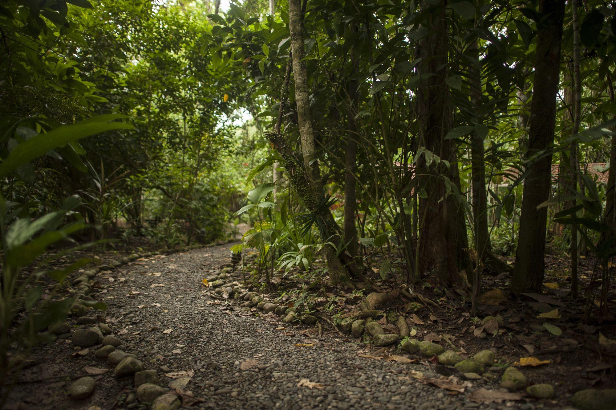 Lodge Tierra De Sueños Lodge&wellness Center Puerto Viejo de Talamanca